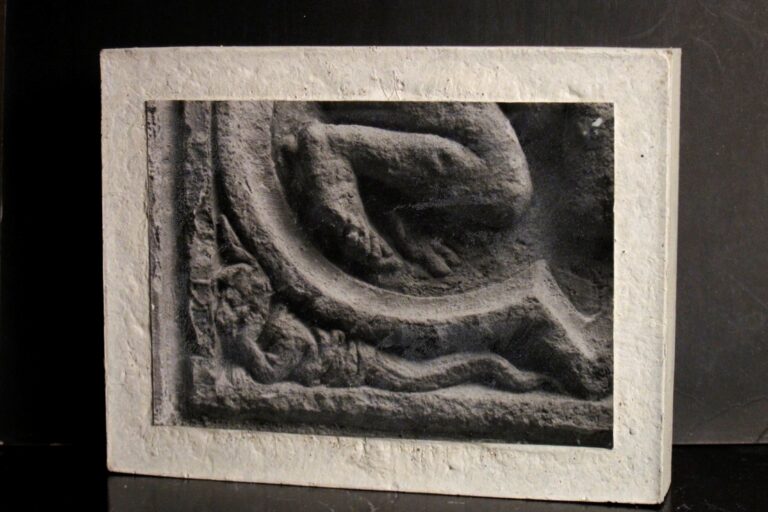 Claire Tenu – petit monstre