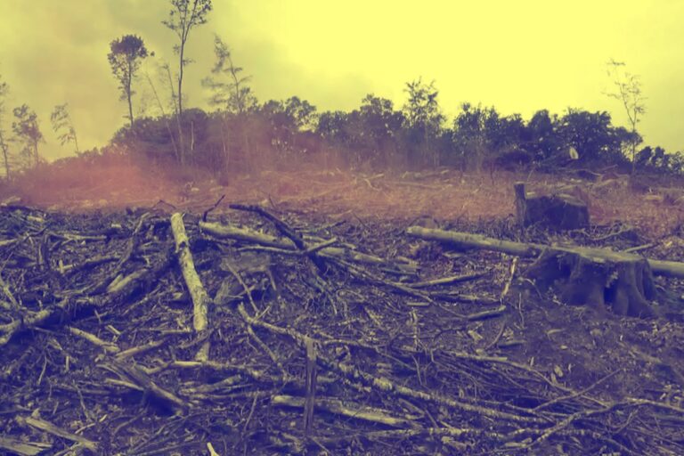 MEGAFAUNA- crédit -ATLATL