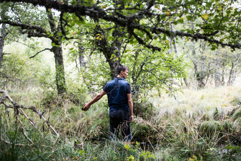 MIC_0769_1528890102_optimized