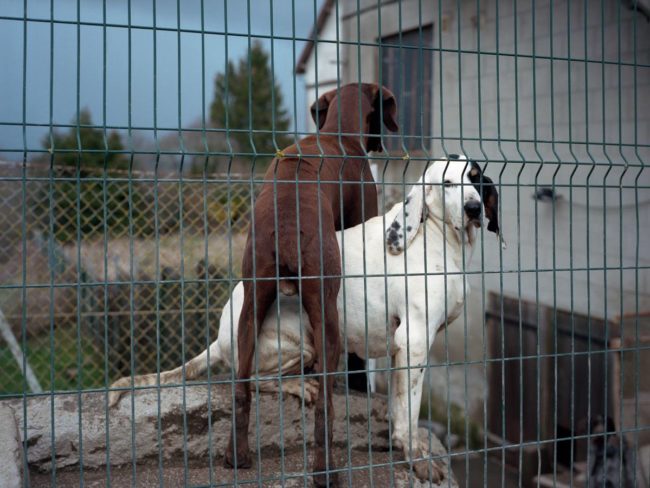 54356079_389641484949171_5163124265494511616_n