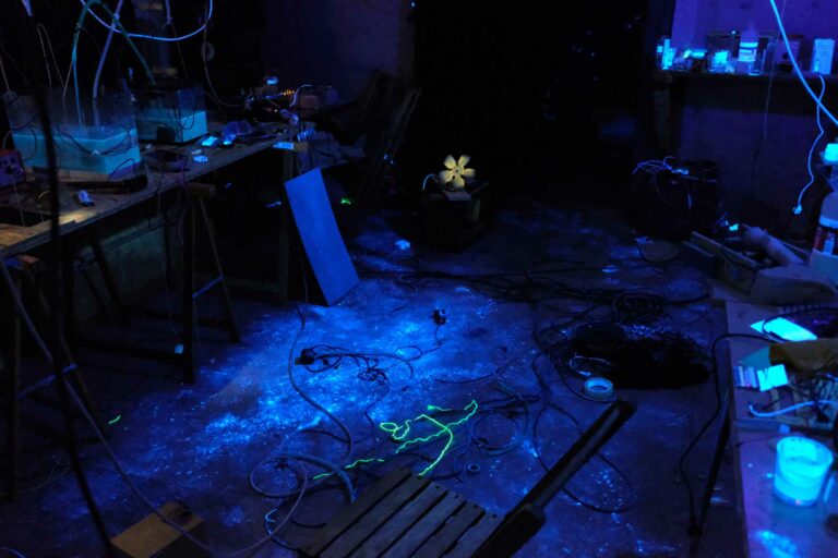 DSCF7706 © Alexis Choplain