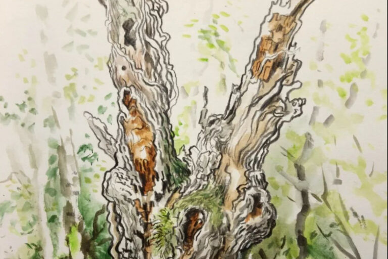 Capture d’écran 2023-08-30 1133152